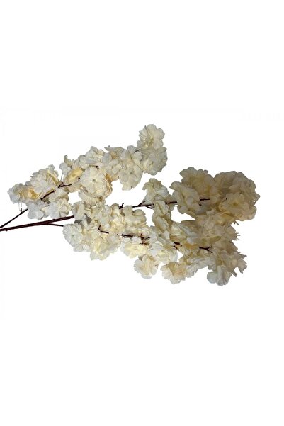 OEM Crengi Flori De Cires Somon Deschis