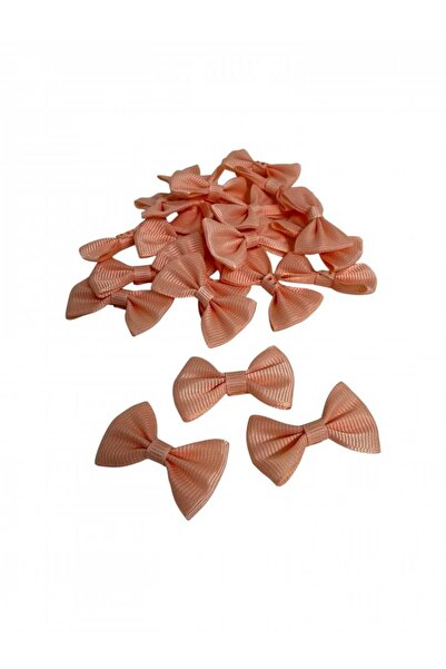 OEM Fundite Decorative Somon 500/set