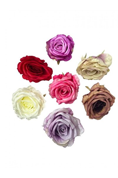 OEM Capete Trandafiri 12cm 30/set Mov Maroniu