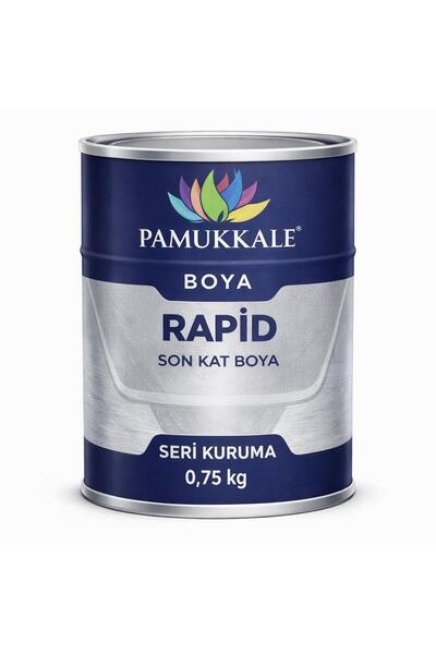 Pamukkale 1402 Rapid Hızlı Kuruyan Metal Boyası Parlak 0.75 Kg Krom Sarı Ral ...