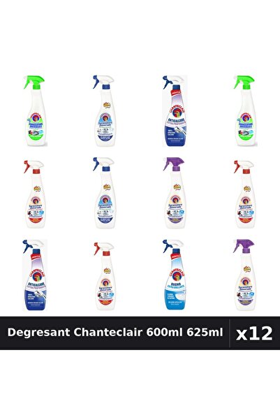 Chanteclair Set 12 Degresant Universal 600ml 625ml - 6 Arome Asortate Curatenie