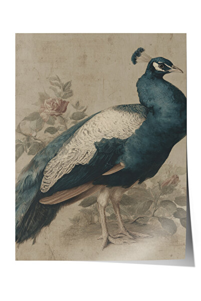 Zestia Poster de perete vintage, Poster clasic cu portretul păunului nr.: 20128