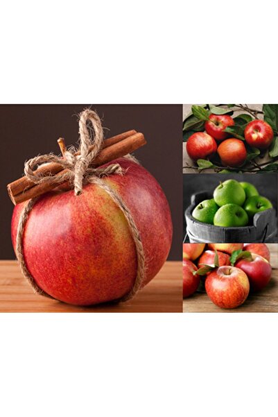 Livada cu Ceai Turkish Apple Fruit Tea