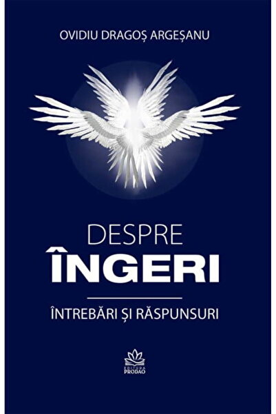 OEM Despre Ingeri. Intrebari Si Raspunsuri