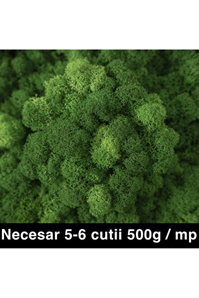 Roberto Rossi Licheni curatati si fara radacina conservati 500g NET, calitate...