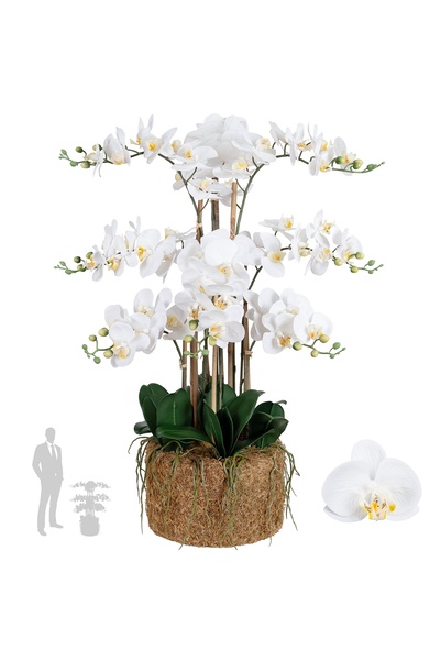 Roberto Rossi Orhidee artificiala alba cu aspect H90 cm cu 9 tulpini