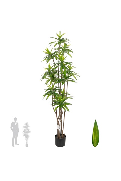 Roberto Rossi Dracaena artificiala H150cm fragrans cu frunze verzi