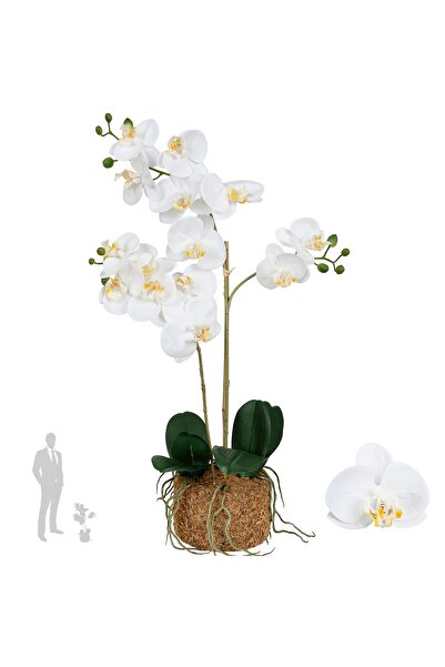 Roberto Rossi Orhidee artificiala alba cu aspect H60 cm cu 2 tulpini