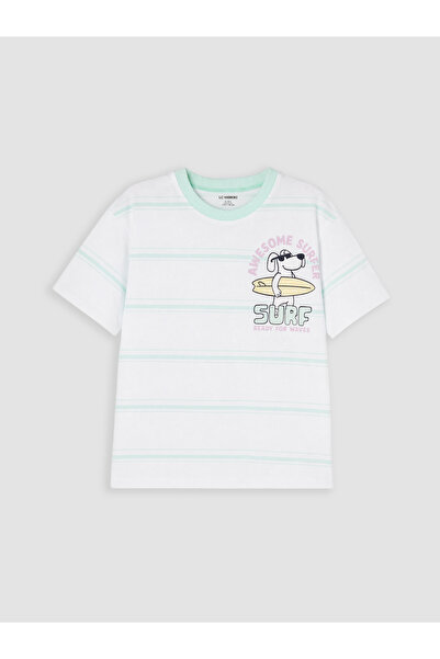 LC Waikiki Crew Neck Striped Printed Boys' T-Shirt