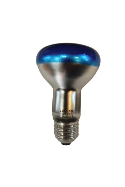 Generic ilesa Λάμπα R63, 40W, για Ντουί E27, Μπλε