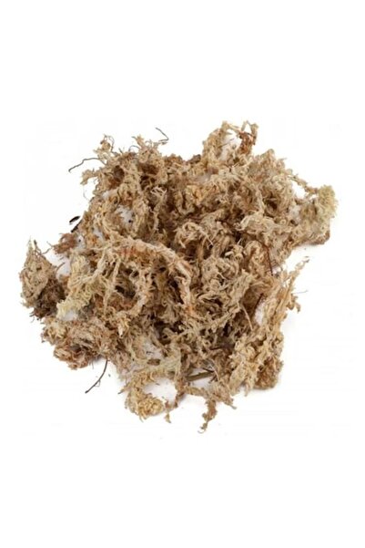 OEM Mușchi Sphagnum uscat, 3,5 L, pentru terarii