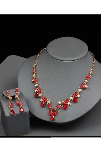 asc.home Steel Body Zircon Necklace Earring Set