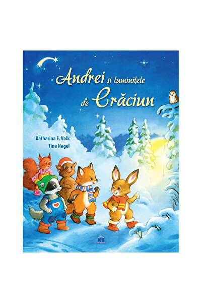 Editura DPH Andrei and the Christmas Lights, Katharina E Volk, Tina Nagel - D...