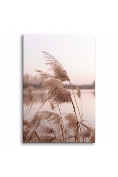 Naklejkomania Tablou pe panza, Iarba maro, 120 cm x 80 cm, Cu rama, Tiparire ...