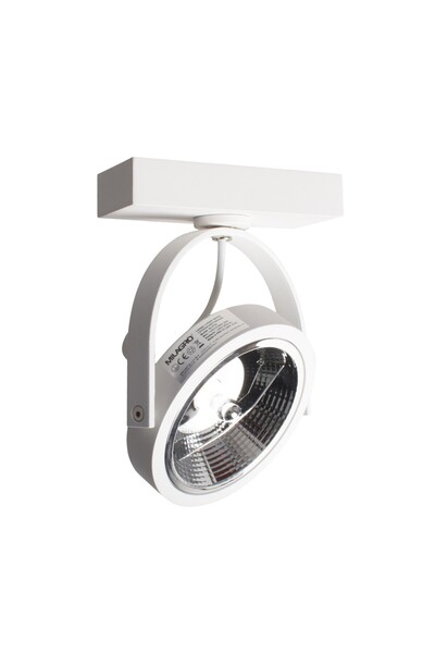 Milagro Corp de iluminat montat pe suprafață Lugar White 1xAR111 GU10