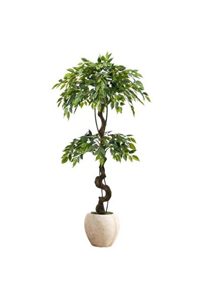 MirageBotanics 150cm Large Ficus Artificial Trees in White Pot, 5ft Tall Fake...