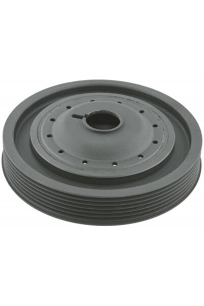 FEBEST Fulie curea, arbore cotit RNDS-K9K