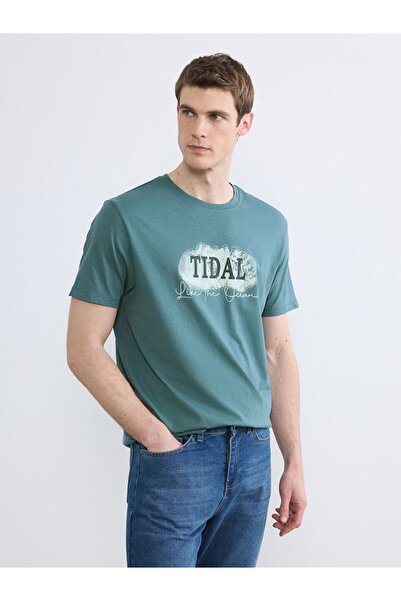 LC Waikiki Crew Neck Printed Men's T-Shirt