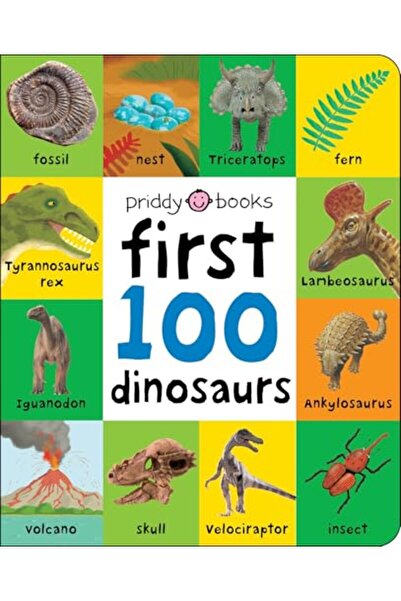 Macmillan Distribution First 100: First 100 Dinosaurs