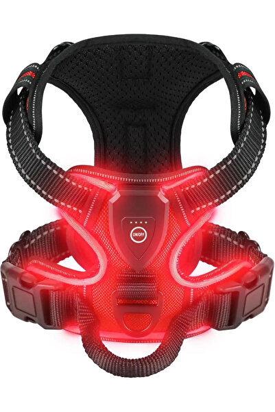 choice2 حزام كلب مضيء باللون الأحمر XL مع إضاءة LED، قابل للتعديل وقابل لإعاد...