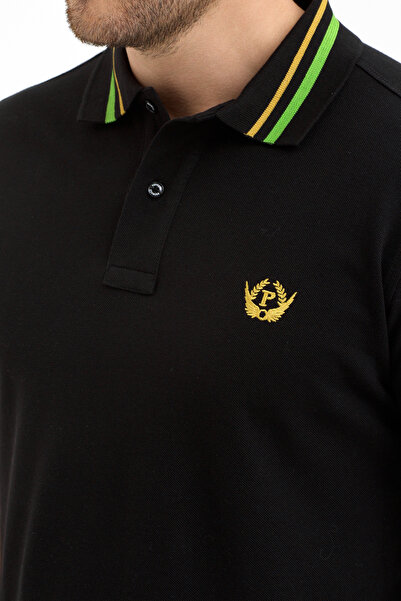 PAOROSS Men's Classic Cut Multi-Colored Polo Collar T-Shirt