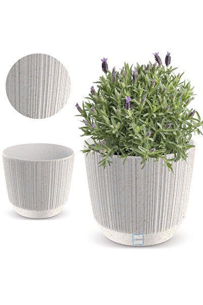 EDANTI Husă ghiveci plante de interior 19,5 cm Ryfo pentru masă, pervaz, albă