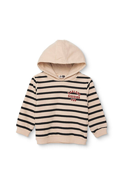 ebebek Hello Baby HelloBaby Erkek Bebek Kapüşonlu Sweatshirt Çizgili Kapüşonl...