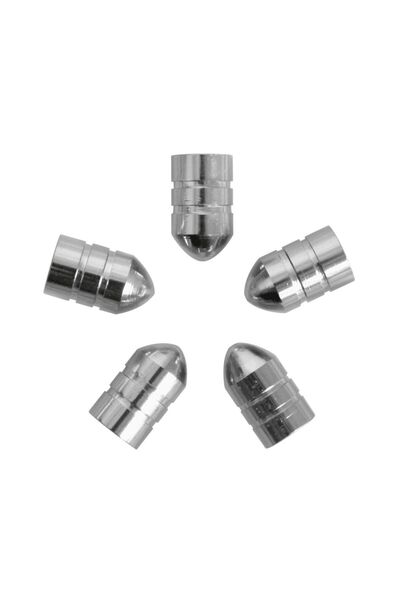Carpoint Set capacele auto pentru ventil tip glont culoare Silver , 5 buc.