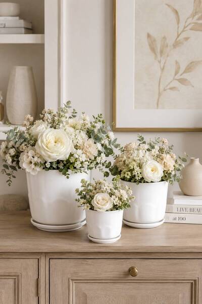 Generic Enchanting Nordic-Inspired Porcelain Planter Set Elevating Your Plant...