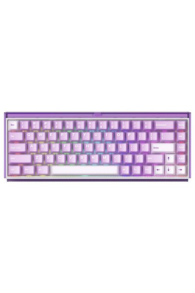 AKKO RAY68 HE Misty Purple White %65 AstroAim Manyetik Switch 8K Hz Hall Effe...