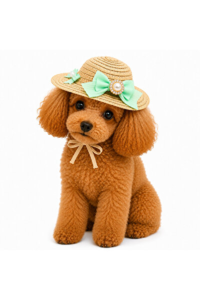 Dolce Pets Kedi ve Köpek Kıyafeti İnci Fiyonklu Hasır Köpek Şapkası