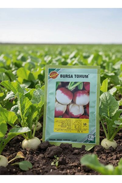 OEMS Rapeseed: the foundation of a bountiful harvest!
