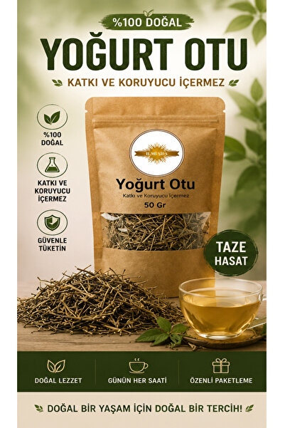 İLMİ ŞİFA Yoğurt Otu (Sarı Yoğurt Otu – Galium verum – Lady’s Bedstraw) Doğal...