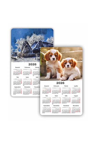 MC Micostore Calendar magnetic, Diverse Imagini policromie, 9x14.5cm, coala 1...