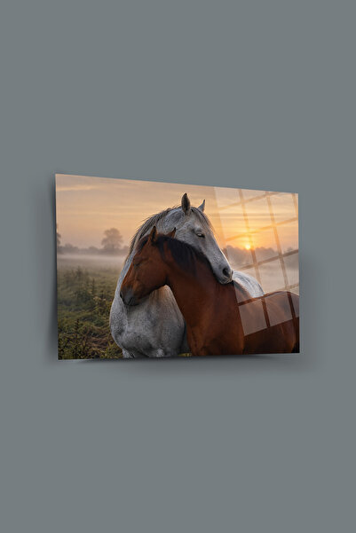 glassartdesign Cai îmbrățișați - Pictură pe sticlă