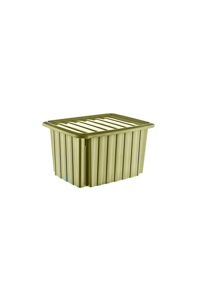 RNLl04 Home 23 Liter Plastic Beige Color Multi-Purpose Storage Box