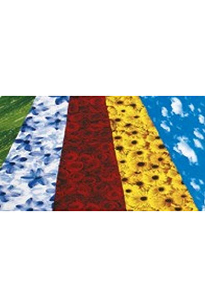 Galeria Hobby Carton decorativ/hartie decorativa Elements Flowers 270 g/m², 2...