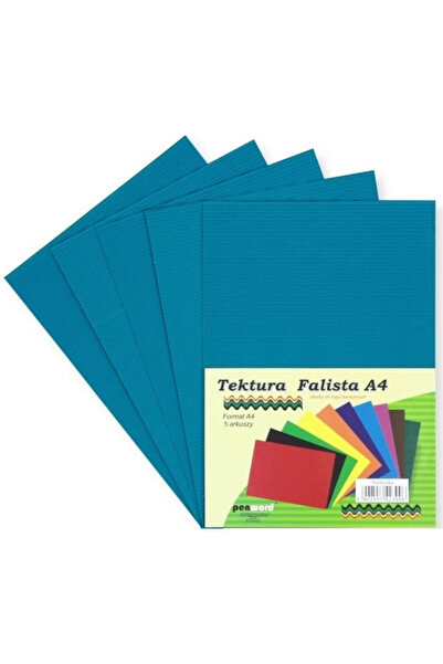 PENWORD Carton ondulat A4 multicolor 218x312mm set 5 foi