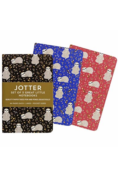 Peter Pauper Press Set 3 notite Leniwce multicolor 9x14cm