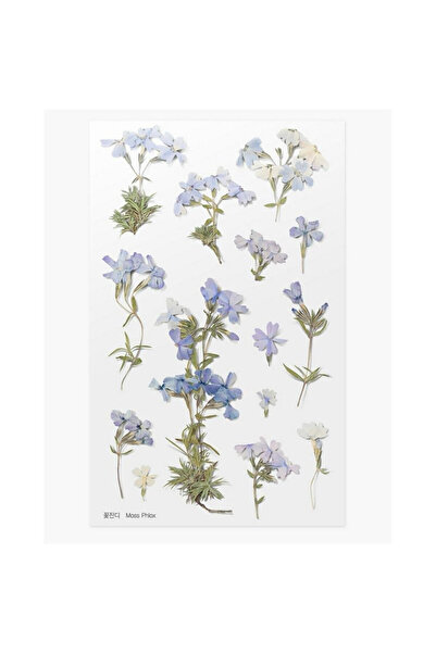 APPREE Stickere decorative flori floks multicolor 15x9.4cm
