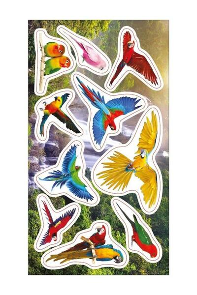 OEM Set de stickere decorative, Ranok-Creative, 10 stickere colorate, papugi