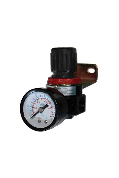 Raider Regulator de aer cu manometru 1/4”, 110601