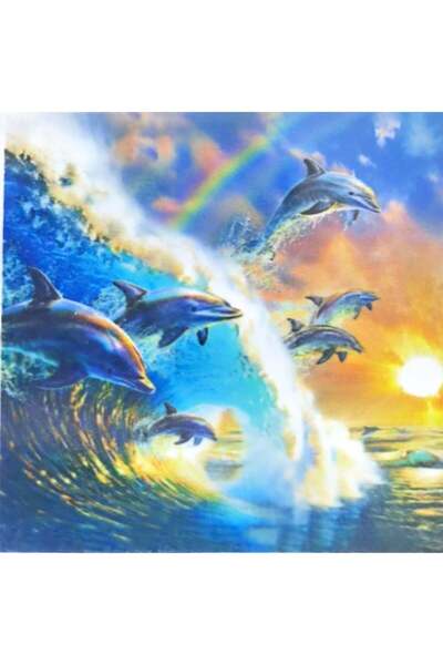 LİVA CRAFT Art & Craft Diamond Mosaic Painting, 30X30Cm Dolphin Fish Bead Glu...