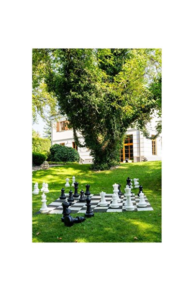 Sunrise Chess & Games Giant garden chess Top Bottom Set with plastic board
