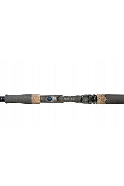 Dragon Undiță G.P. Concept Spinn 2.28m / 60-90g