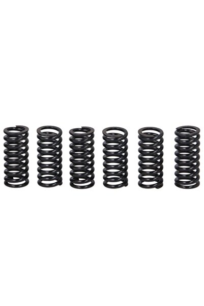 TRW Set Arcuri Ambreiaj Suzuki Rm 125/250 2001-2012 SUZUKI RM