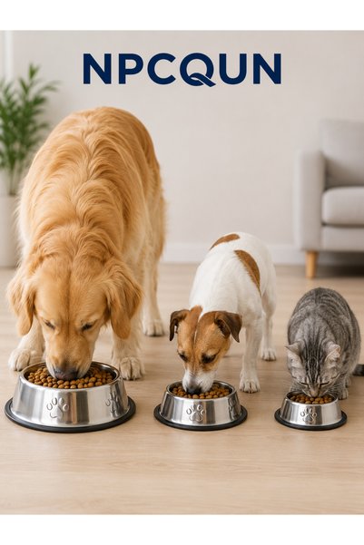 NPCQUN 22 cm Kaymaz Taban Paslanmaz Çelik Kedi ve Köpek Mama Su Kabı