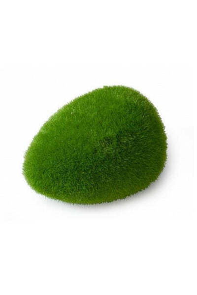 AQUA D'ELLA Moss Ball for Aquariums