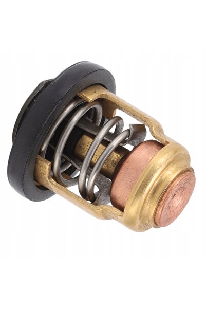 NO BRAND Termostat motor exterior de 50 de grade Celsius 2.1 - 3l