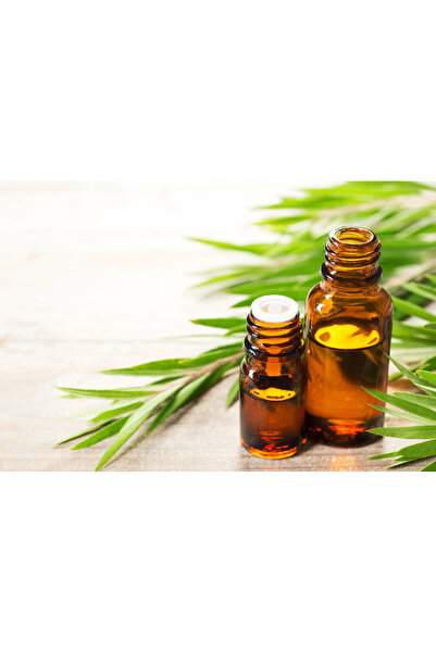 Solaris Plant Ulei esential Arbore de Ceai, 10ml